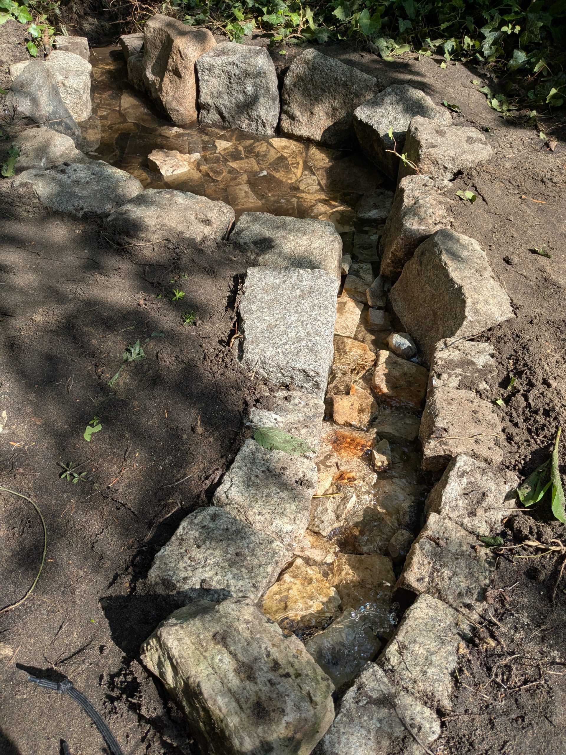 PXL_20250617_143231309